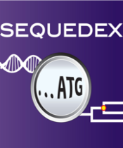 Sequedex recognizes ATG (protein start) in DNA sequence